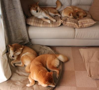 绝杀与叹息，阿坎吉一球定乾坤，美国惊魂险胜背后的战术迷雾与英雄孤影