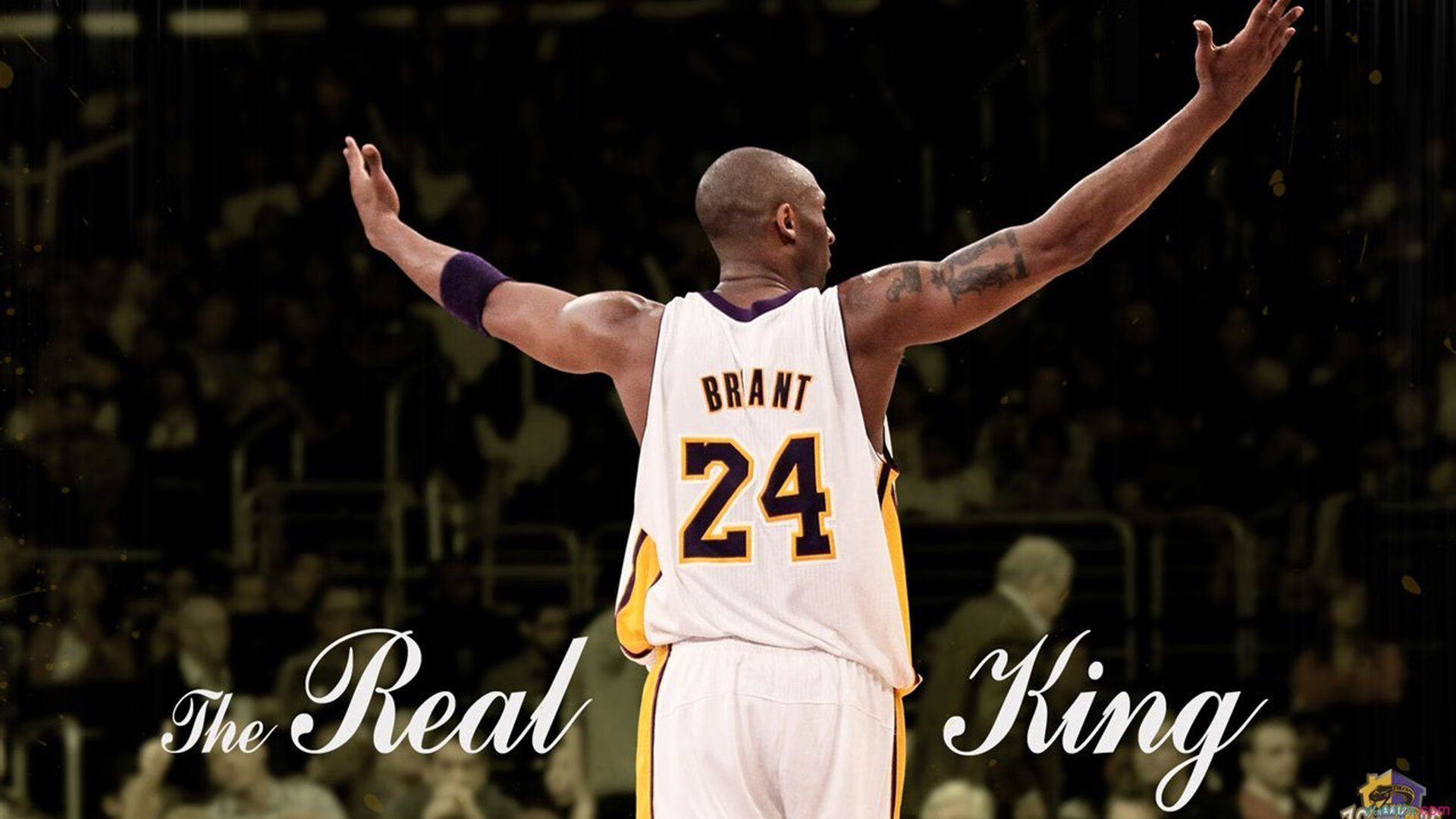 压哨绝杀！伦纳德致命一击拯救快船，黄蜂到嘴胜利飞了